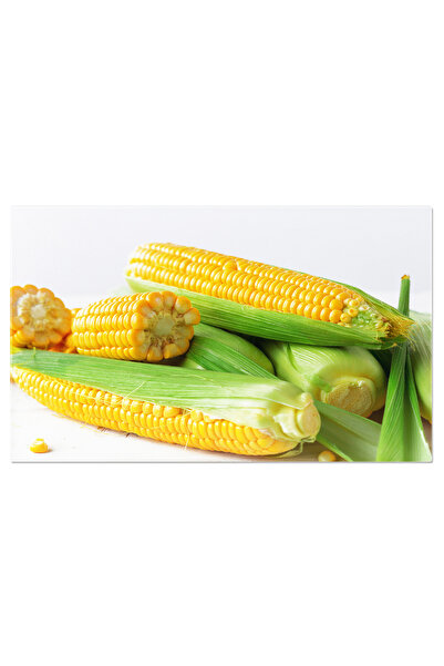 StoryGift Romania Tablou Canvas - Agricultura Sustenabila: Cresterea Porumbul...