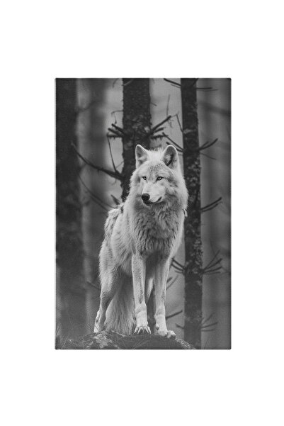 StoryGift Romania Tablou Canvas: Natură Sălbatică, Lup Alb Pe O Stâncă Privin...