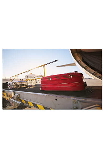 StoryGift Romania Tablou Canvas Incarcarea Bagajelor In Avion, Avion, Aeropor...