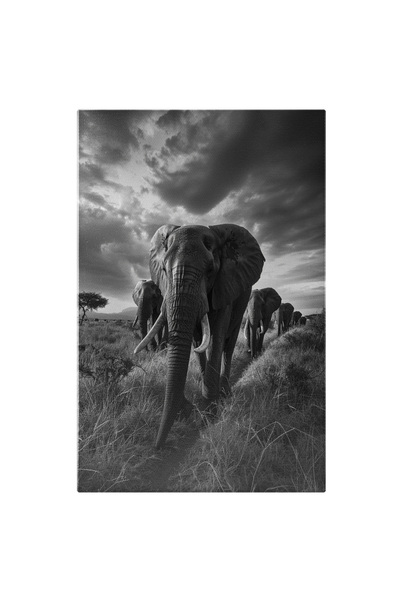 StoryGift Romania Tablou Canvas: Elefanții Prin Iarba Arsă De Soare Peisaj Al...