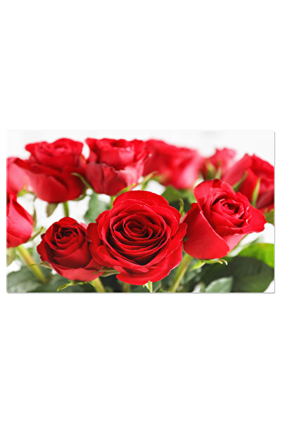 StoryGift Romania Tablou pânză 70 x 50CM - Frumusețe macro, concept floral ro...