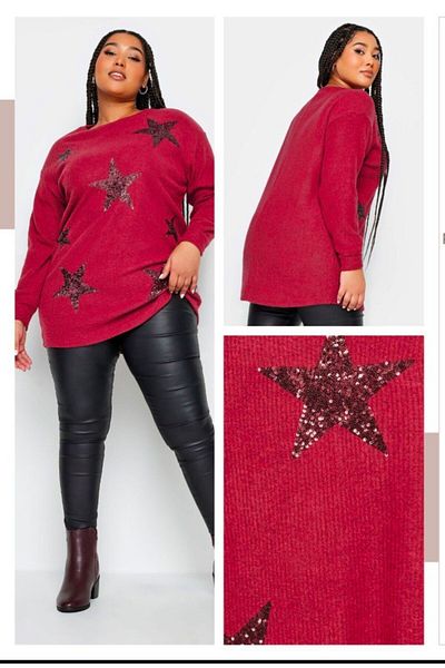 Sevda Kılınç Plus Size Star Detailed Tunic Sweater