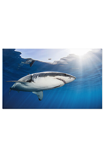 StoryGift Romania Tablou Canvas Rechin In Mare, Rechin, Albastru, Subacvatic,...