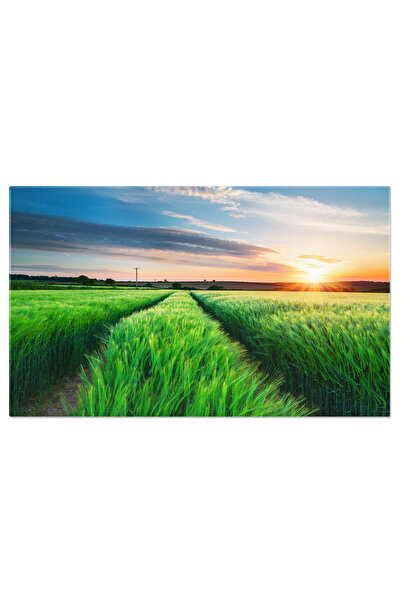 StoryGift Romania Tablou Canvas Camp De Orz In Cornwall Agricultura, Peisaj D...