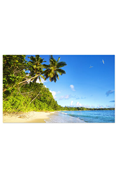 StoryGift Romania Tablou Canvas Plaja Tropicala In Seychelles, Plaja, Seychel...