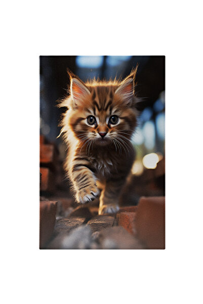 StoryGift Romania Tablou Canvas: Pasul Feroce În Linie Dreaptă Și Micul Pisoi...