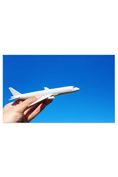 StoryGift Romania Tablou Canvas Avion In Mana La Asfintit, Avion, Model, Mana, Cer, Calatorie 343