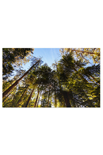 StoryGift Romania Tablou Canvas Peisaj Gradinile Memorial Alfred Nicholas In ...