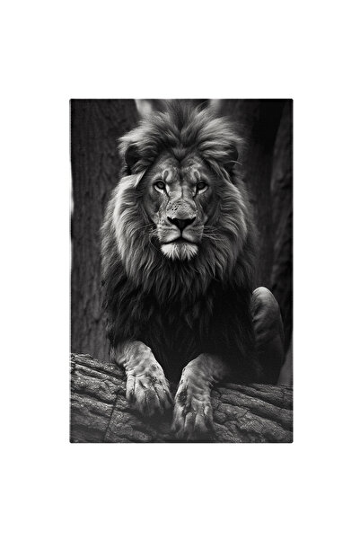 StoryGift Romania Tablou Canvas: Leu Stand Pe Un Trunchi De Copac - Regele Ju...