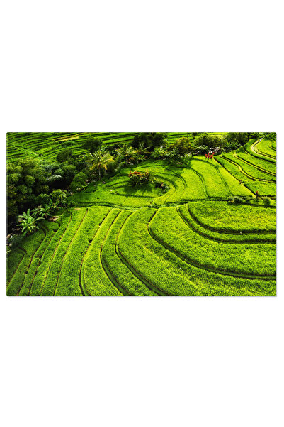 StoryGift Romania Tablou Canvas 70 X 50cm Fotografie Aeriana Plaja Santa Moni...