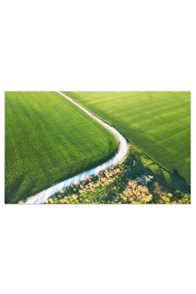 StoryGift Romania Tablou Canvas Drumul Catre Camp, Peisaj Agricol, Toamna, Ca...