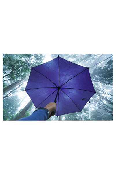 StoryGift Romania Tablou Canvas Mana Tinand Umbrela Cu Vedere De Jos A Varfului Copacului Peisaj Plin De Culori