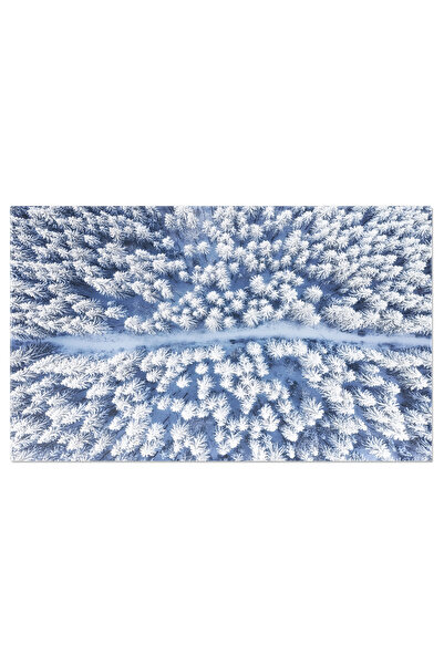 StoryGift Romania Tablou Canvas Vedere Iarna Pe Drum Si In Padure, Zapada, Na...