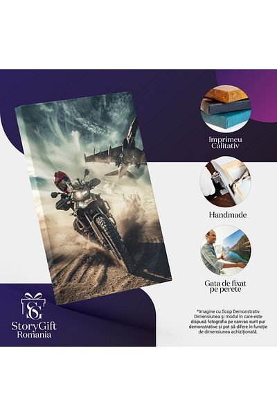 StoryGift Romania Tablou Canvas Marele Avion Care Decoleaza Deasupra Motociclistului Care Merge Cu Viteza Pe Nis
