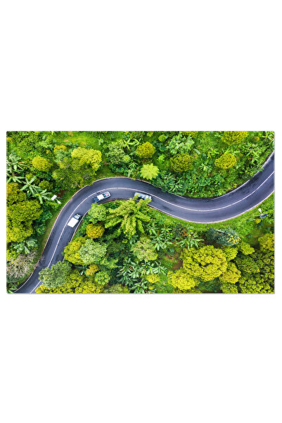 StoryGift Romania Tablou Canvas Peisaj Aerial Cu Padure Si Drum, Indonezia Ae...