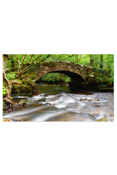 StoryGift Romania Tablou Canvas 120 x 80CM Podul Hisley pe Dartmoor, dartmoor...