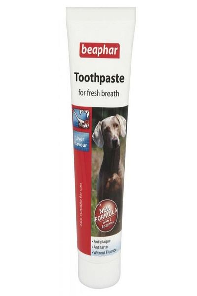 Beaphar Beaphar Toothpaste For Cats & Dogs (Liver Flavor) - 100 Gms