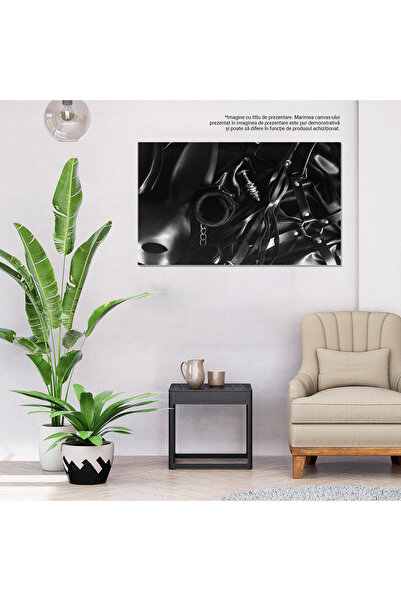 StoryGift Romania Tablou Canvas - Placere Si Senzualitate: Jucarii Erotice Si Accesorii Pentru Nopti Pasionale