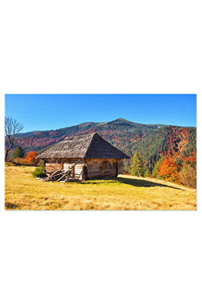 StoryGift Romania Tablou Canvas - Cabana In Padure, Toamna Rustica, Natura Si...