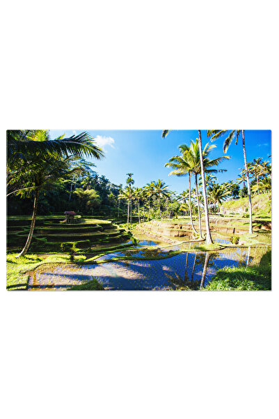 StoryGift Romania Tablou Canvas Campuri De Orez Langa Ubud, Bali, Indonezia, ...