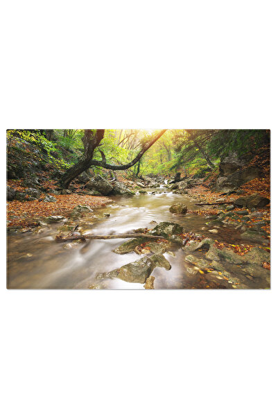 StoryGift Romania Tablou Canvas Peisaj De Toamna In Natura Toamna, Peisaj, Na...