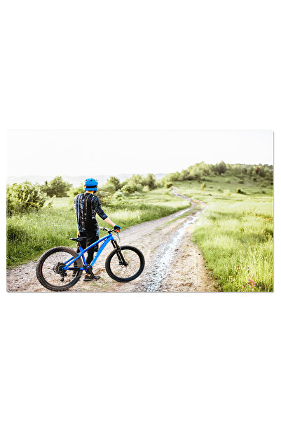 StoryGift Romania Tablou Canvas Ciclist Pe Drum De Munte Munte, Bicicleta, Av...