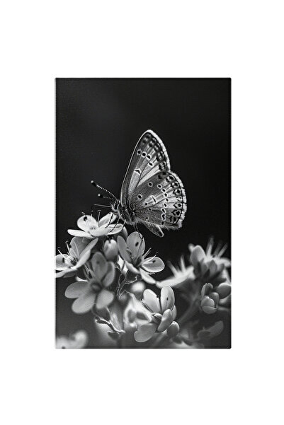 StoryGift Romania Tablou Canvas: Serenada Unui Fluture Pe Petale Înfloritoare...