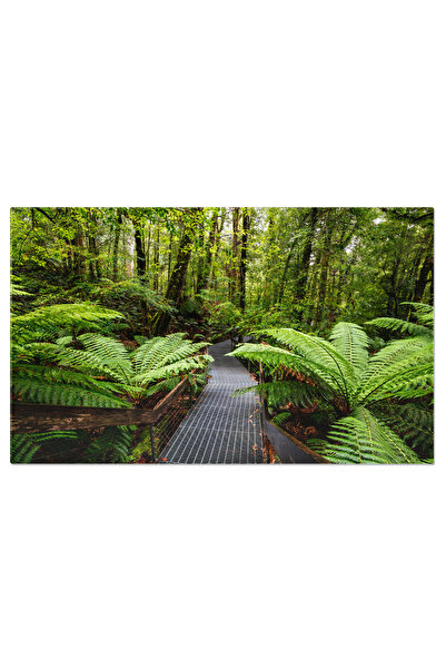 StoryGift Romania Tablou Canvas Peisaj Plin De Ploaie In Padurea Warburton, V...