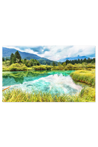 StoryGift Romania Tablou Canvas Vedere De Vara La Lacul Zelenci Cu Peisaj , S...