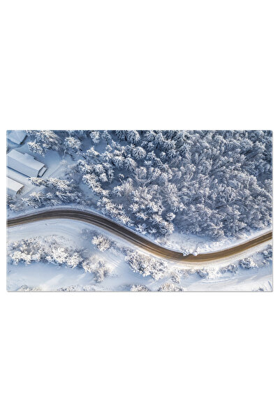 StoryGift Romania Tablou Canvas - Drum Prin Padure: Peisaj Iarna In Munti