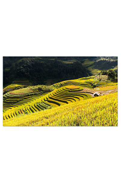 StoryGift Romania Tablou Canvas Terasele Din Mu Cang Chai, Districtul A, Vietnam, Agricultura, Camp, Peisaj, Tera