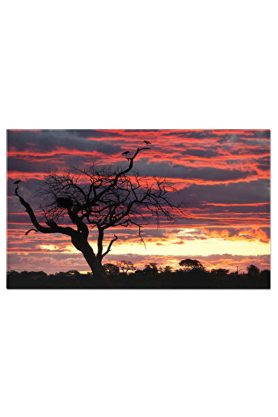 StoryGift Romania Tablou Canvas 40 x 25CM Apus in Parcul National Chobe, Bots...