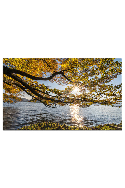 StoryGift Romania Canvas Painting 70 x 50CM Autumn Landscape with Sun by the ...