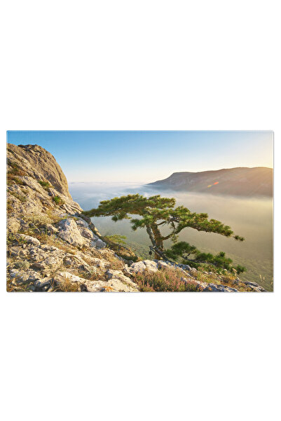 StoryGift Romania Tablou Canvas Molid Pe Marginea Peisajului: Peisaj, Molid, Cer, Natura, Apus. 4184