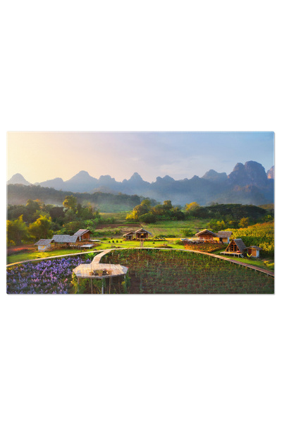 StoryGift Romania Tablou Canvas Padurea Fermecata In Lumina Ceatei Descopera, Aventura, Magie Naturala, Liniste,