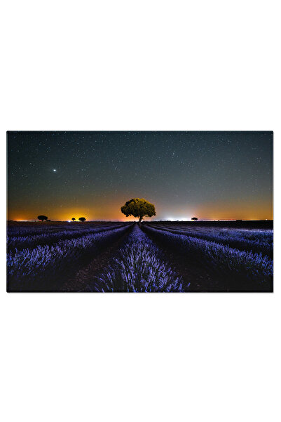 StoryGift Romania Tablou Canvas Peisaj Nocturn Cu Calea Lactee Peste Lavanda ...