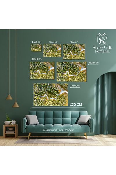 StoryGift Romania Tablou Canvas Adevarata Frumusete A Padurii, Peisaj, Natura, Aerian, Apa, Vara 45