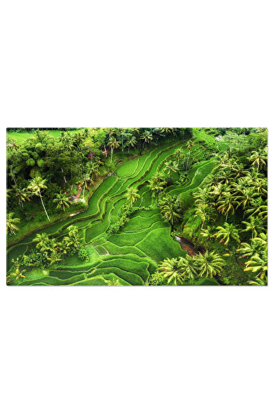 StoryGift Romania Tablou Canvas Peisaj Agricol Din Aer Terase De Orez, Terase, Agricultura, Camp, Ferma, Plantare