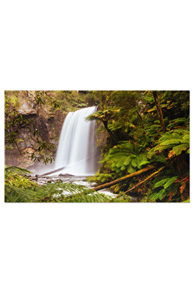 StoryGift Romania Tablou Canvas 120 x 80CM Cascada Hopetoun la Cape Otway în ...