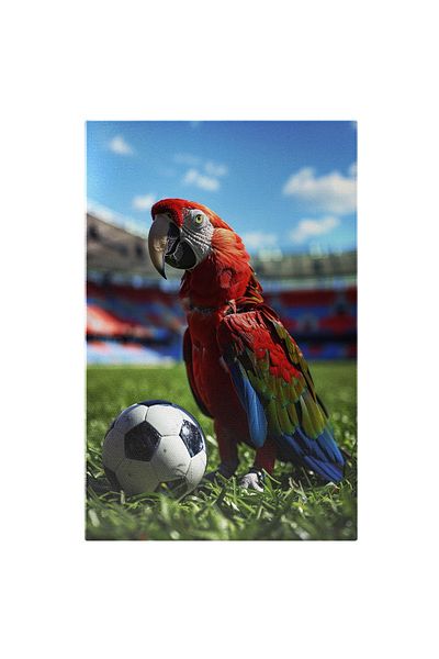 StoryGift Romania Tablou Canvas Jocul Papagalului Cu Pene Colorate Pe Terenul De Fotbal Cu Mingea Alb Roșie , Pic