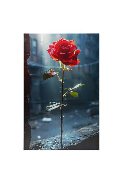 StoryGift Romania Canvas Painting 60 x 40CM The Unique Rose Beauty with Thorns Grown in the Ab Building,STG