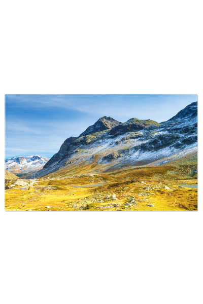 StoryGift Romania Tablou Canvas 40 x 25CM Alee Inalta in Parc cu Iarba Verde,...