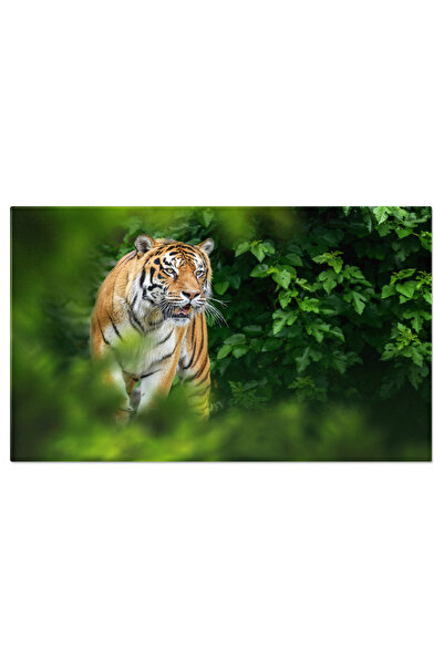 StoryGift Romania Tablou Canvas - Mister Si Pericol In Lumea Salbatica - Feli...