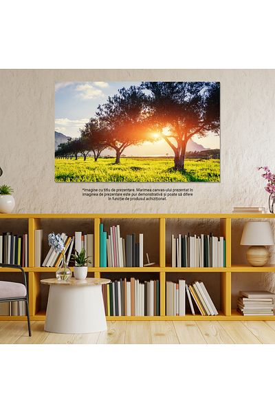 StoryGift Romania Tablou Canvas - Lumina prin Frunzele Verzi: Peisaj Plin de Verdeata si Atmosfera