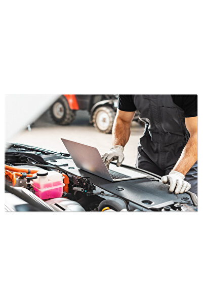 StoryGift Romania Tablou Canvas: Conectare Tehnologica A Masinii, Diagnostic ...