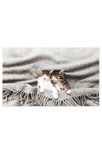 StoryGift Romania Tablou Canvas Cu Pisoi Adormit In Pozitie Inversa - Moment ...