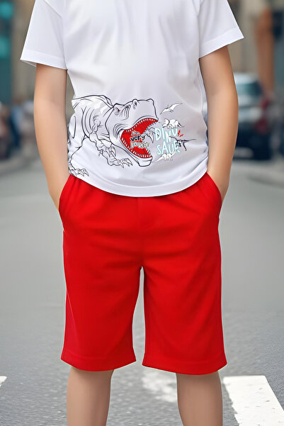 FYK KİDS Boy's Dino-Saur Printed Top and Bottom Set