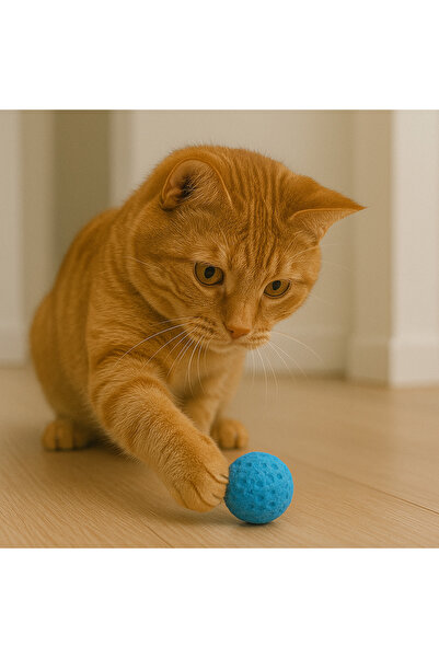 Fauna Pet Supplies Sünger Kedi Oyuncağı – Yumuşak Ve Sessiz Top Mavi (4CM)