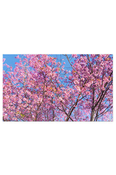 StoryGift Romania Tablou Canvas Insula Sakrisøya la Rasarit, Insulele Lofoten...