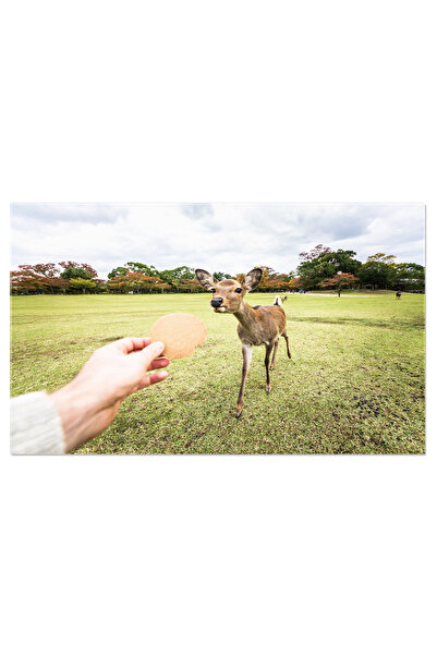 StoryGift Romania Tablou Canvas Butoaie de Vin la Rutherglen; imbatranire, Australia, butoi, bautura, pivnita, v